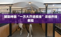 辅助神器“一方大厅透视挂”详细开挂教程