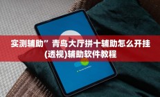实测辅助”青鸟大厅拼十辅助怎么开挂(透视)辅助软件教程
