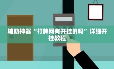 辅助神器“打牌网有开挂的吗”详细开挂教程