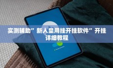 实测辅助”新人皇用挂开挂软件”开挂详细教程