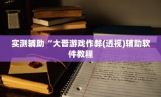 实测辅助“大晋游戏作弊(透视)辅助软件教程