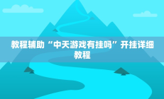教程辅助“中天游戏有挂吗”开挂详细教程
