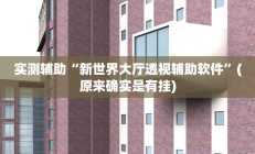实测辅助“新世界大厅透视辅助软件”(原来确实是有挂)