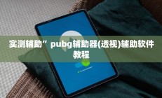 实测辅助“wepoker德州挂透视辅助挂软件下载(透视)辅助软件教程