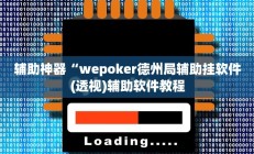 辅助神器“wepoker德州局辅助挂软件(透视)辅助软件教程