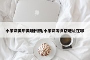 小茉莉美甲美睫团购/小茉莉零食店地址在哪