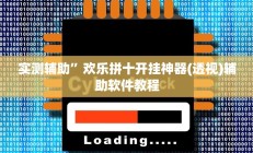 实测辅助”欢乐拼十开挂神器(透视)辅助软件教程