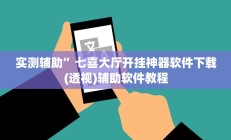 实测辅助”新人皇可以开挂吗”开挂详细教程