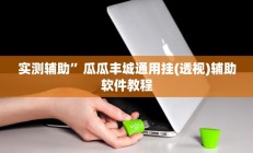 实测辅助“佛手十三道开挂透视(透视)辅助软件教程
