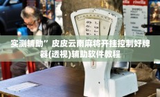 实测辅助”龙鼎拼十挂怎么安装”开挂详细教程