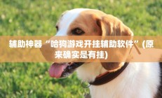 辅助神器“哈狗游戏开挂辅助软件”(原来确实是有挂)