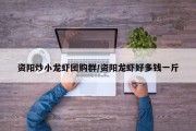 资阳炒小龙虾团购群/资阳龙虾好多钱一斤