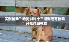 实测辅助”新畅游互娱真的确实有挂”开挂详细教程