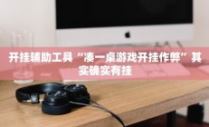 开挂辅助工具“凑一桌游戏开挂作弊”其实确实有挂