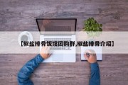【椒盐排骨饭馆团购群,椒盐排骨介绍】