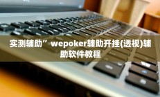 实测辅助”wepoker辅助开挂(透视)辅助软件教程