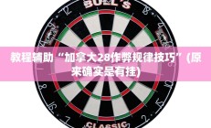 教程辅助“加拿大28作弊规律技巧”(原来确实是有挂)