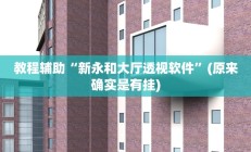 教程辅助“新永和大厅透视软件”(原来确实是有挂)