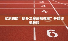 实测辅助”德扑之星透视教程”开挂详细教程