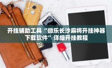 开挂辅助工具“天天跑得快开挂神器下载安装”详细开挂教程