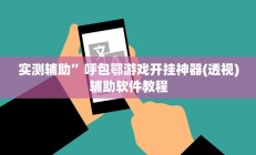 实测辅助”呼包鄂游戏开挂神器(透视)辅助软件教程