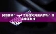 实测辅助”wpk透视挂究竟是真的吗”其实确实有挂