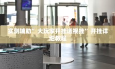 实测辅助”大玩家开挂透视挂”开挂详细教程
