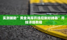 实测辅助”黄金海岸开挂控制好牌器”开挂详细教程