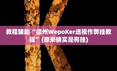 实测辅助”四川麻将开挂怎么使用的(透视)辅助软件教程