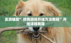 实测辅助”哈狗游戏开挂方法教程”开挂详细教程