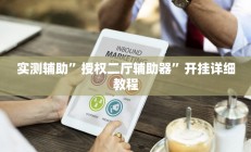 实测辅助”授权二厅辅助器”开挂详细教程