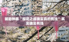 辅助神器“皮皮云南麻将开挂神器”其实确实有挂