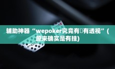 辅助神器“wepoker究竟有沒有透视”(原来确实是有挂)