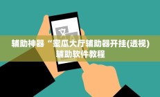 辅助神器“蜜瓜大厅辅助器开挂(透视)辅助软件教程