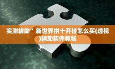 实测辅助”新世界拼十开挂怎么买(透视)辅助软件教程