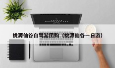 桃源仙谷自驾游团购（桃源仙谷一日游）