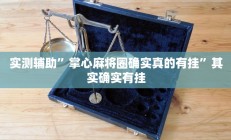 实测辅助”掌心麻将圈确实真的有挂”其实确实有挂