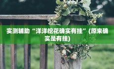 实测辅助“洋洋挖花确实有挂”(原来确实是有挂)