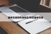 猫咪洗澡团购淮安店/附近猫咪洗澡