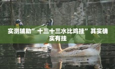 实测辅助”十三十三水比鸡挂”其实确实有挂