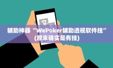 辅助神器“WePoker辅助透视软件挂”(原来确实是有挂)