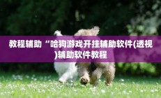 教程辅助“哈狗游戏开挂辅助软件(透视)辅助软件教程