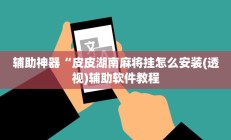 辅助神器“皮皮湖南麻将挂怎么安装(透视)辅助软件教程
