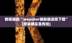 教程辅助“wepoker辅助器透视下载”(原来确实是有挂)