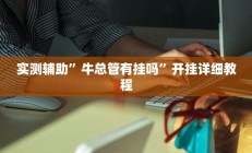实测辅助”牛总管有挂吗”开挂详细教程