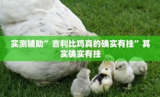 实测辅助”吉利比鸡真的确实有挂”其实确实有挂
