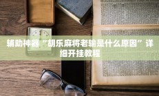 辅助神器“胡乐麻将老输是什么原因”详细开挂教程