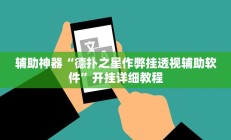 辅助神器“德扑之星作弊挂透视辅助软件”开挂详细教程