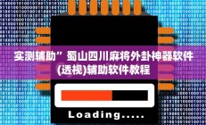 辅助神器“八闽十三张怎么开挂”开挂详细教程
