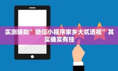 实测辅助”微信小程序家乡大贰透视”其实确实有挂